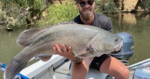 Big Murray Cod caught near Hughes Creek