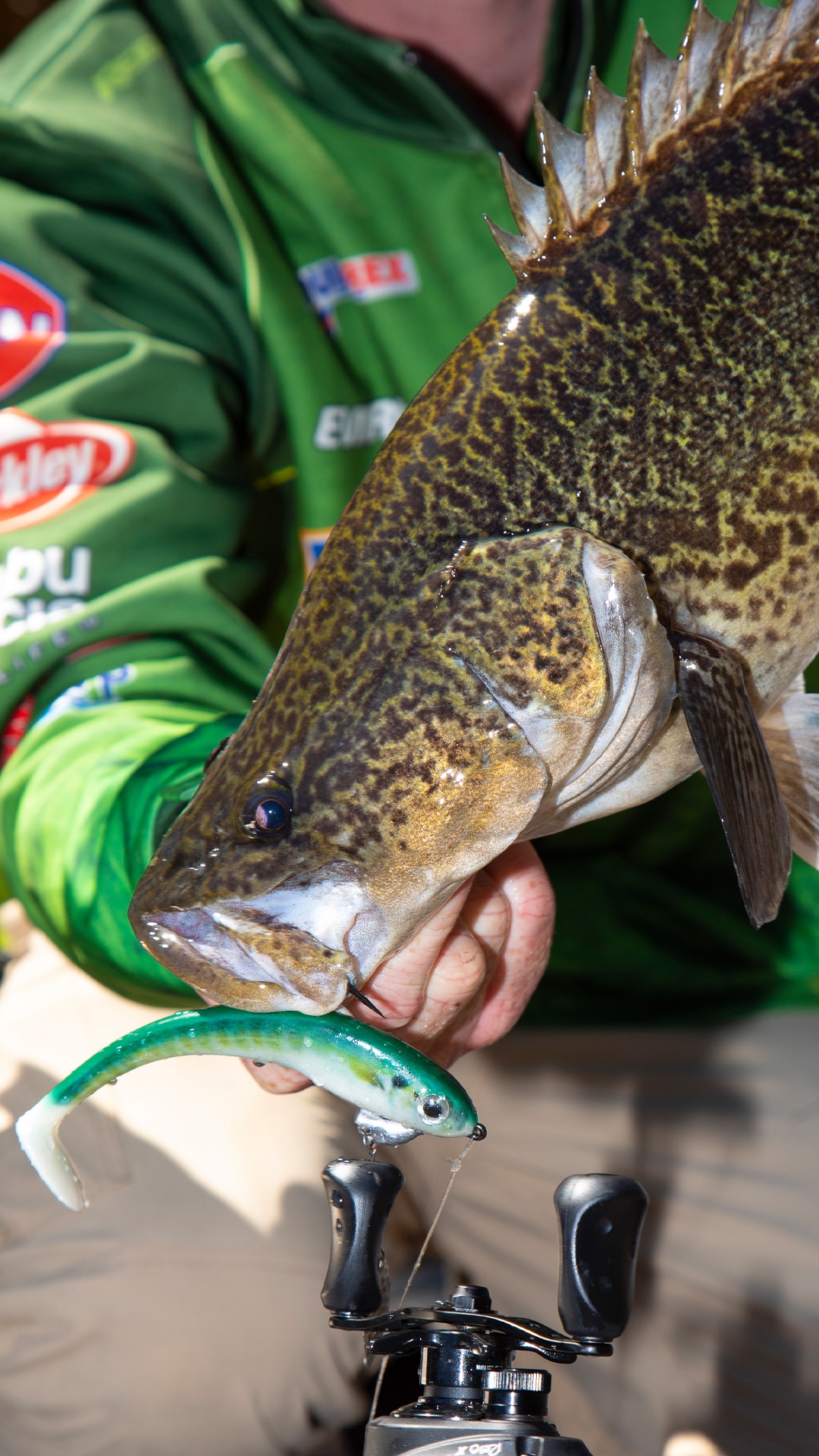 Berkley PowerBait Hollow Belly  A guide to Murray Cod Fishing